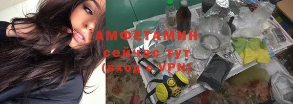 ПСИЛОЦИБИНОВЫЕ ГРИБЫ Волосово